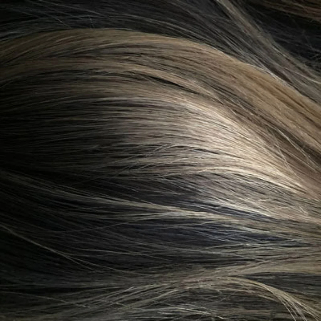 Long brown half wig, dark brown blending to light brown: Lara - Image 3